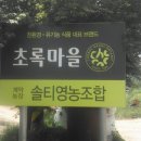 솔티농장 이미지