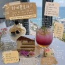 [울산 오션뷰카페 추천] 하이플로라 솔직후기 l 가족과 함께 힐링하기 좋은 간절곶 대카페