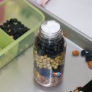 다남동마을회영농조합법인 | 인천광역시 지역농업특성화사업 콩마을 다남동 농촌체험 먹거리 감자볼된장찌개 콩스테이크 다남동마을...