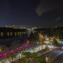 호텔 은파 팰리스 이미지