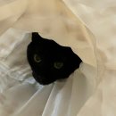 씨유 원통점 | 2025년 8월 일기