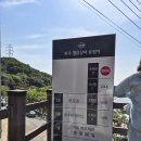 마장호수 출렁다리 직접 다녀온 솔직 후기 및 주차장 정보