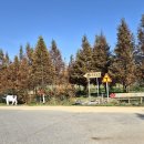 상몽농장2 | 예산가볼만한곳 :) &#34;아그로랜드 태신목장&#34; 아이랑 가볼만한곳 제대로 즐기는 법(주차·체험 총정리)