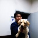 해담동물병원 이미지