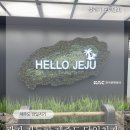 젊은 국악 꿈꾸는 바다 | 제주도 당일치기 후기 ㅣ 추천 여행일정 필수 방문 코스