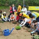 안양농장 이미지