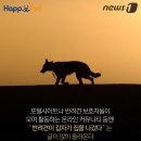 멍멍이집 이미지