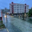 프로미손해사정(주) | 괌 항공권 아고다 대한항공 진에어 결항 취소 환불방법 실제후기
