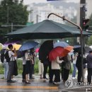 그늘막13 이미지