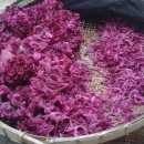 흙집정원 이미지