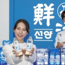 선양 이미지