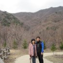 민주지산자연휴양림 이미지