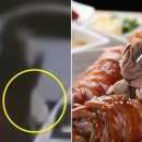 족발라이더 이미지