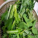 방하농장 이미지