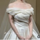 월평중로 | 대전 웨딩드레스 투어 후기👗(최종 셀렉 외)/라피네/아이린/루즈앤모니끄/블랙라벨