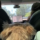 루프탑 정원 이미지