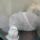 구수회 이미지