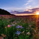 장사경로당 이미지