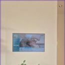 분당-146 이미지