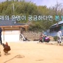 도관1리 마을회관 이미지