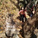 글로리야 이미지