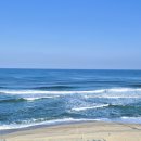 바다랑 파도랑 이미지