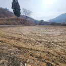 호수농장 이미지