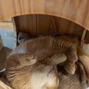 더워도 너무 더운 요즘 ! +일상