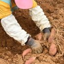 석문농장 이미지