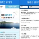 울릉서비스 이미지