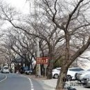 라떼라스