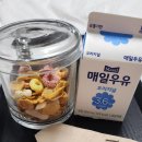 시엘토스트 | 시엘산후조리원 후기 | 2주 | 스탠다드룸