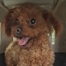 목포원광한방병원 이미지