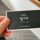 헤어헵시바