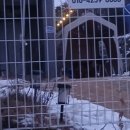 더스테이 이미지