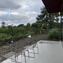 협재차경 별뉘 이미지