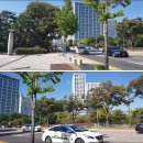 중앙공원 광장 이미지