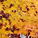 선학산전망대 이미지