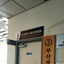 강서체육공원 | 15분도시 부산 강서체육공원 수영장 방문 후기