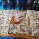 마린스타 이미지