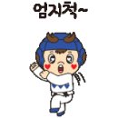 고려 청룡 태권도 이미지