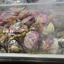 석성목장 | 2025.11. 겨울 보령 1박2일 가족여행_보령 천북굴단지, 보령충청수영성, 대전해수욕창 스카이바이크...