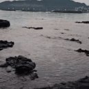 한강빈대떡