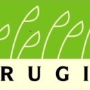 분성마을5단지푸르지오아파트 이미지