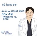 동물병원 Dr.정 | 송파 동물병원 추천 강아지 GDV 위확장 염전(꼬임) 위고정 수술 후기/대형견 응급수술