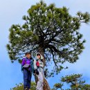 Three Point to Mt. Waterman 04-11-2026 이미지