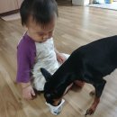 아현생활용품