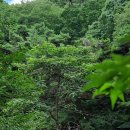 동화천1 이미지