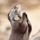 봉숙이네 이미지