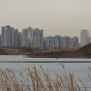 나무고아원 이미지